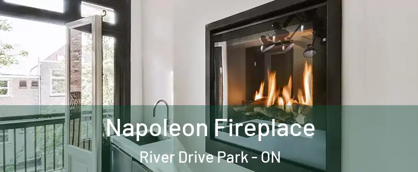  Napoleon Fireplace River Drive Park - ON