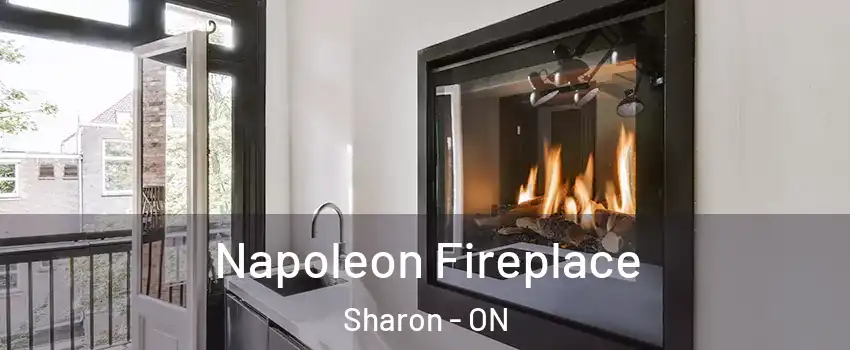  Napoleon Fireplace Sharon - ON
