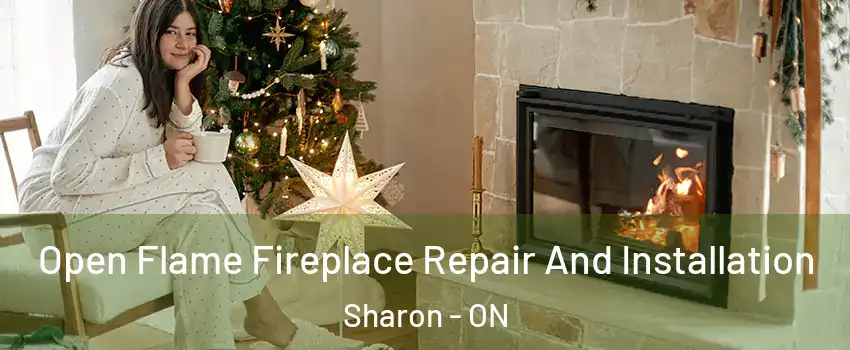  Open Flame Fireplace Repair And Installation Sharon - ON