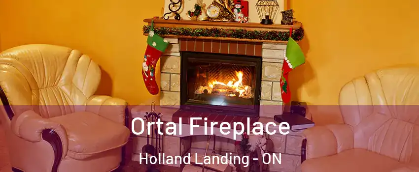 Ortal Fireplace Holland Landing - ON