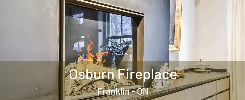  Osburn Fireplace Franklin - ON