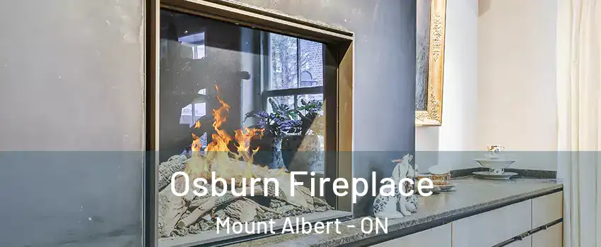  Osburn Fireplace Mount Albert - ON