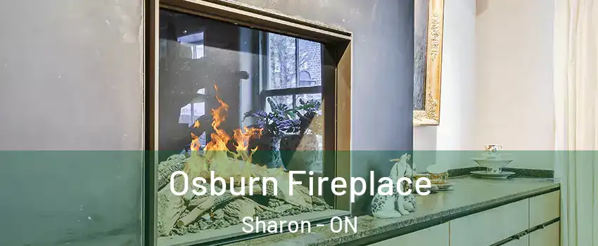  Osburn Fireplace Sharon - ON