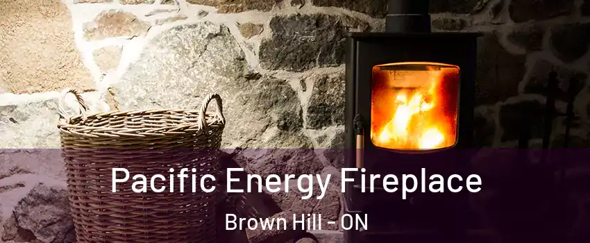  Pacific Energy Fireplace Brown Hill - ON