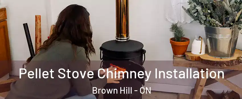  Pellet Stove Chimney Installation Brown Hill - ON