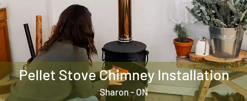  Pellet Stove Chimney Installation Sharon - ON