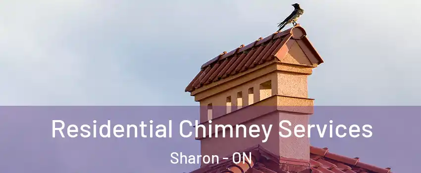  Residential Chimney Services Sharon - ON