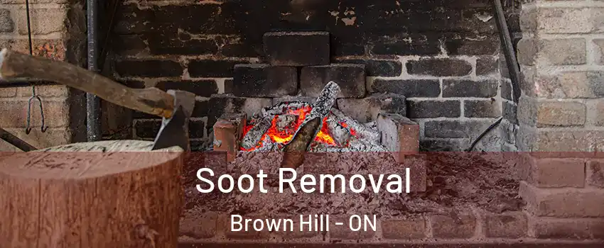  Soot Removal Brown Hill - ON
