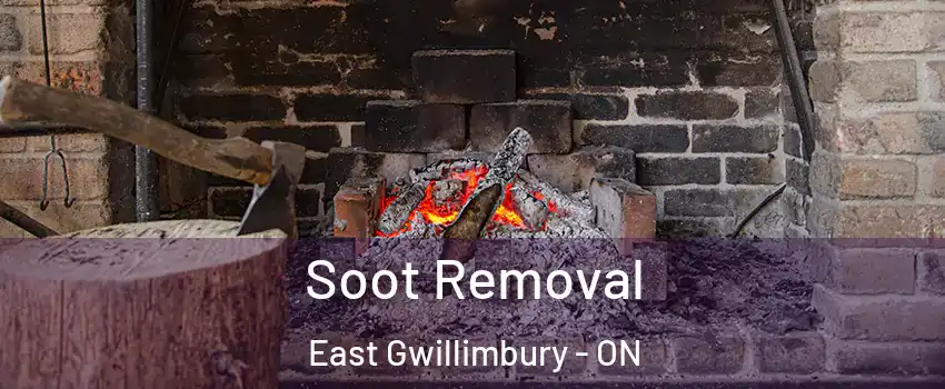  Soot Removal East Gwillimbury - ON