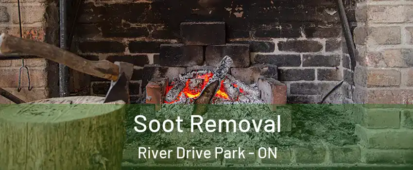  Soot Removal River Drive Park - ON