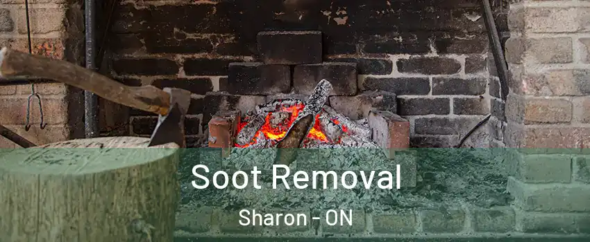  Soot Removal Sharon - ON