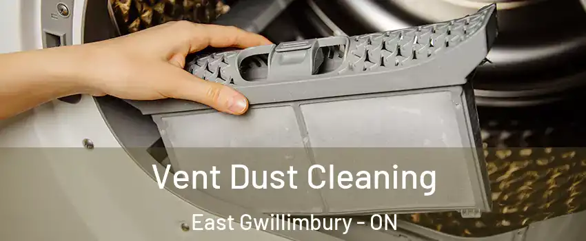  Vent Dust Cleaning East Gwillimbury - ON