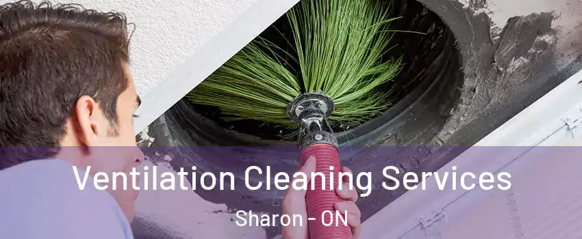  Ventilation Cleaning Services Sharon - ON