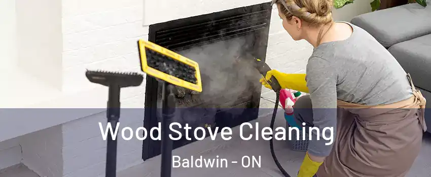  Wood Stove Cleaning Baldwin - ON