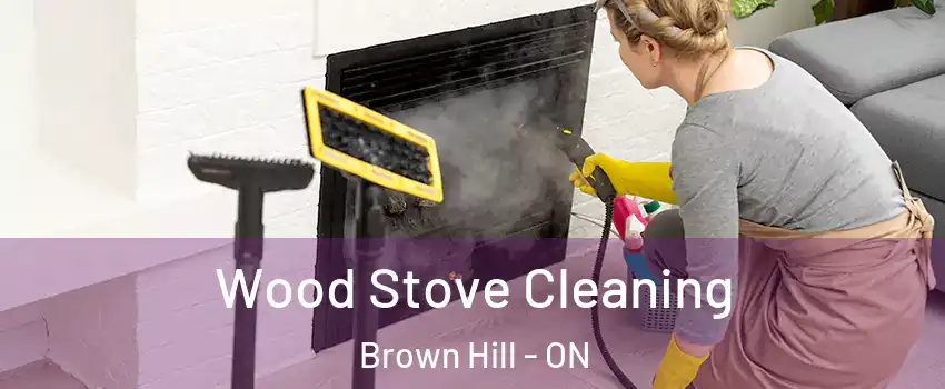  Wood Stove Cleaning Brown Hill - ON