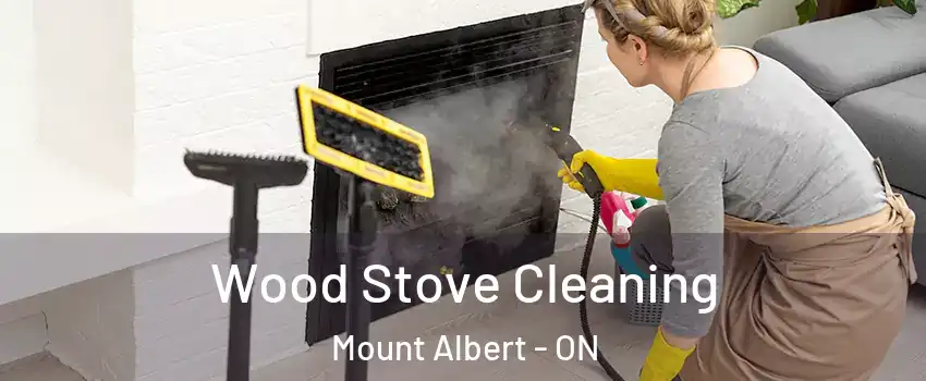  Wood Stove Cleaning Mount Albert - ON