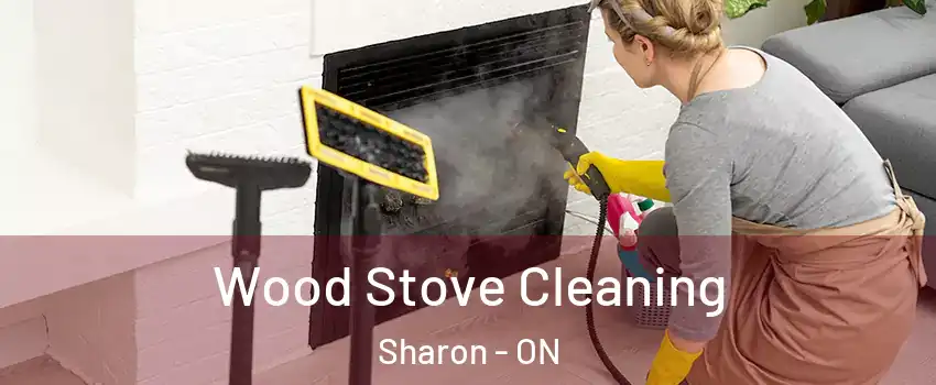  Wood Stove Cleaning Sharon - ON